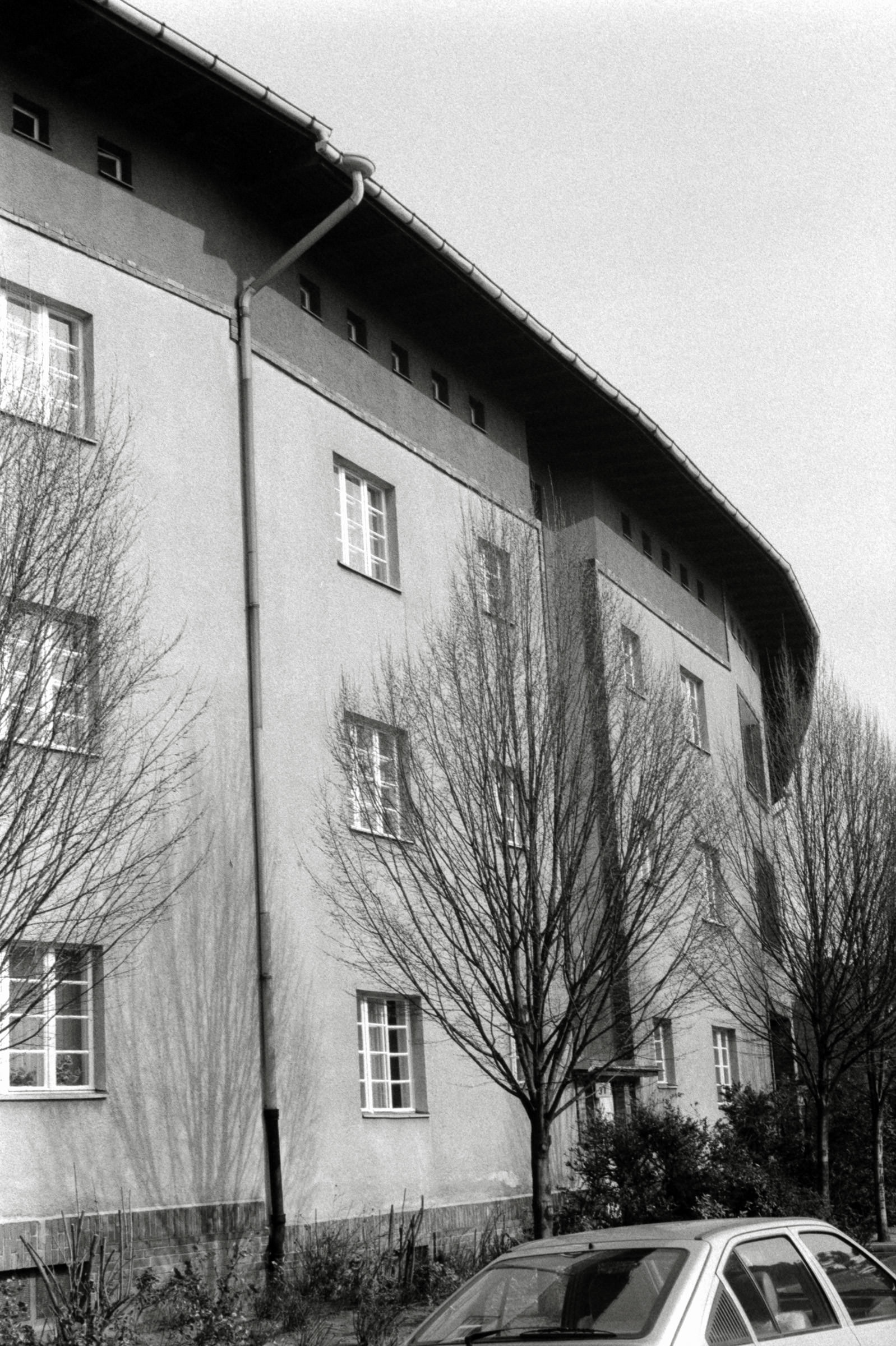 AHP F1993 03 007 sc240902 img13 NLP